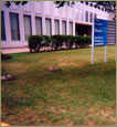 photo-lachute David Robert Temim DRT Avocat droit criminel, droit pénal, droit disciplinaire, Palais de justice quebec, palais de justice montreal , cours municipale, cours suprême, avocat montreal , avocat quebec
