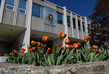 David Robert Temim DRT Avocat droit criminel, droit pénal, droit disciplinaire, Palais de justice quebec, palais de justice montreal , cours municipale, cours suprême, avocat montreal , avocat quebec
